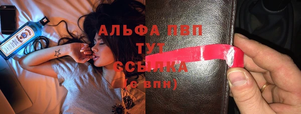 крисы Аркадак